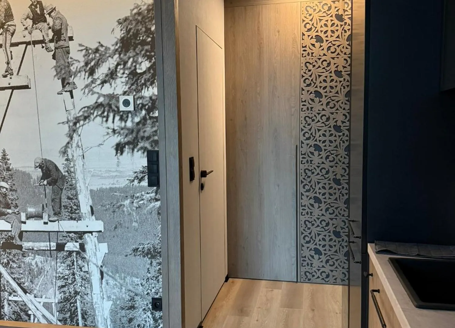 Appartement Kosowka Premium à Zakopane 0*,  Pologne